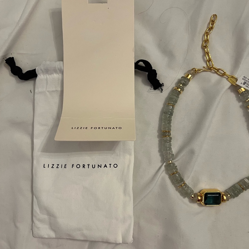 Lizzie Fortunato Necklace